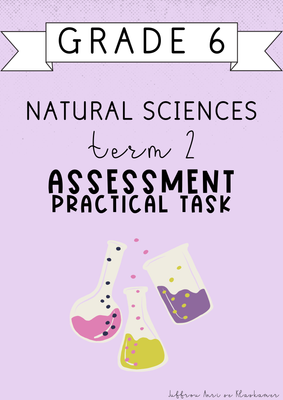 Grade 6 Natural Sciences Term 2 Assessment [Practical task] (2025)