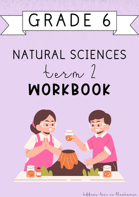 Grade 6 Natural Sciences Term 2 Workbook (2025)