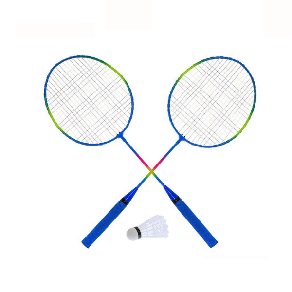 Badminton Set in Bag