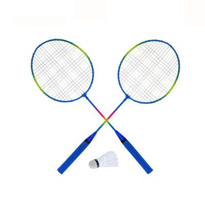 Badminton Set in Bag