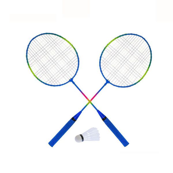 Badminton Set in Bag