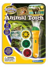 Brainstorm Animal Torch and Projector