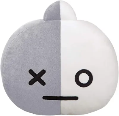 Aurora BT21 Van Cushion