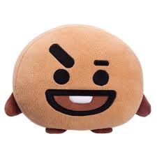 Aurora BT21 Shooky Cushion