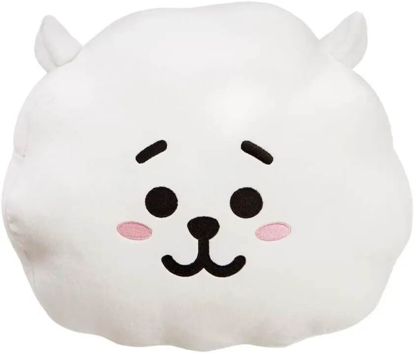 Aurora BT21 RJ Cushion