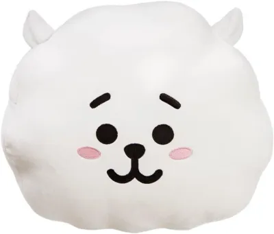 Aurora BT21 RJ Cushion