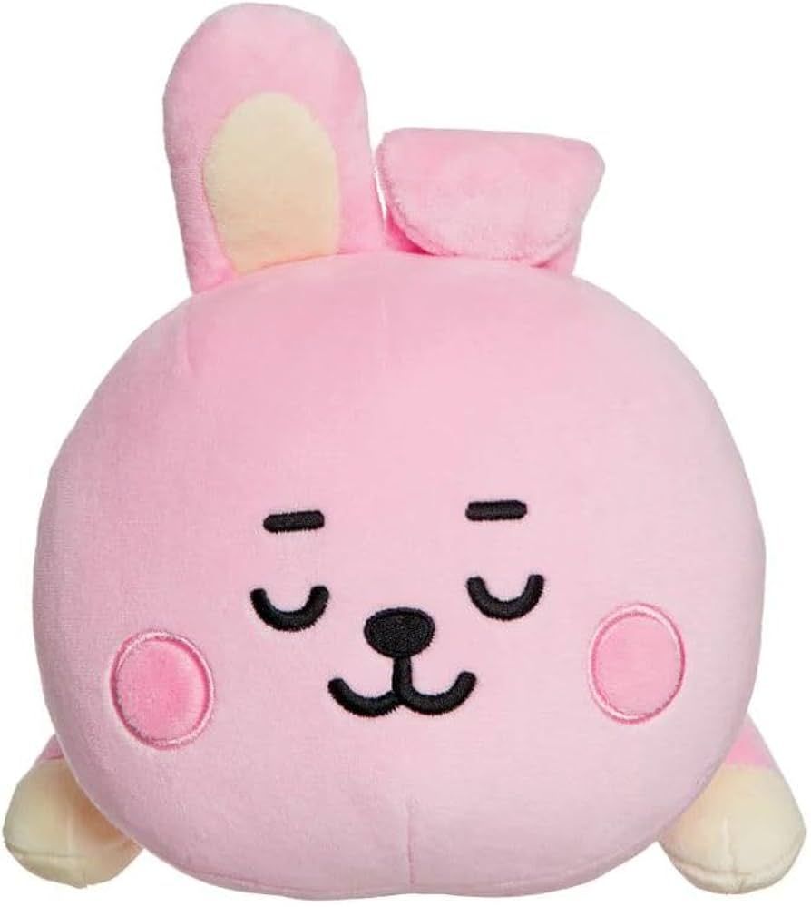 Aurora BT21 Cooky Cushion