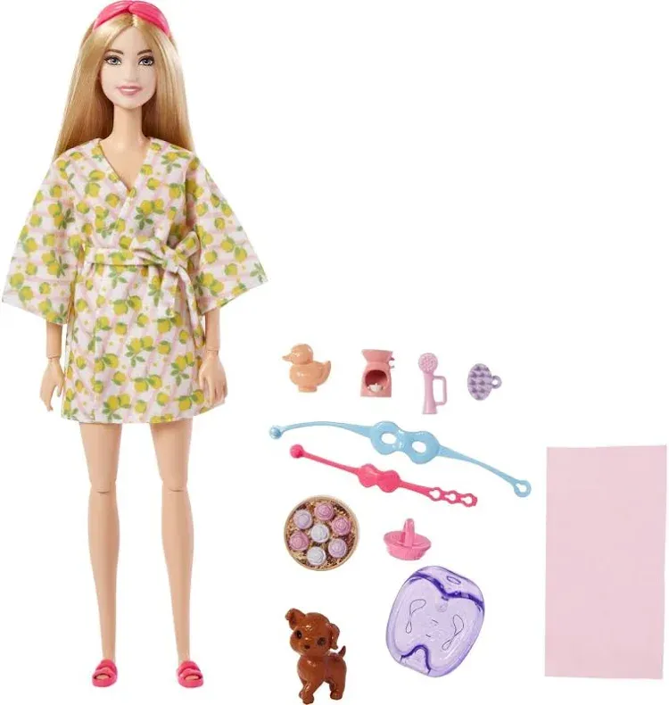 Barbie Wellness Doll Asstd