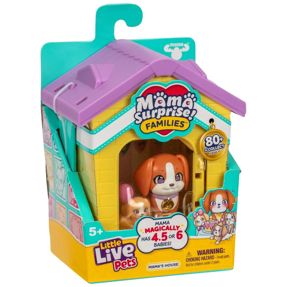 LLP Mama Surprise Families Mamas House