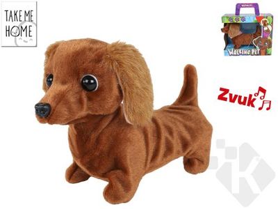 Take me Home Walking Dachshund