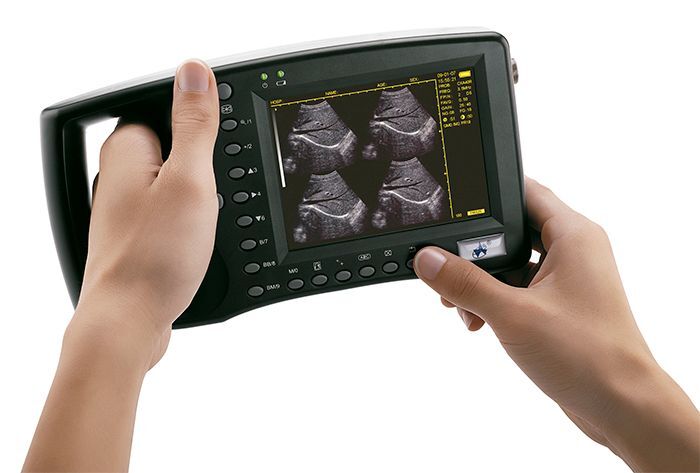 Ecógrafo WED3100 Veterinario