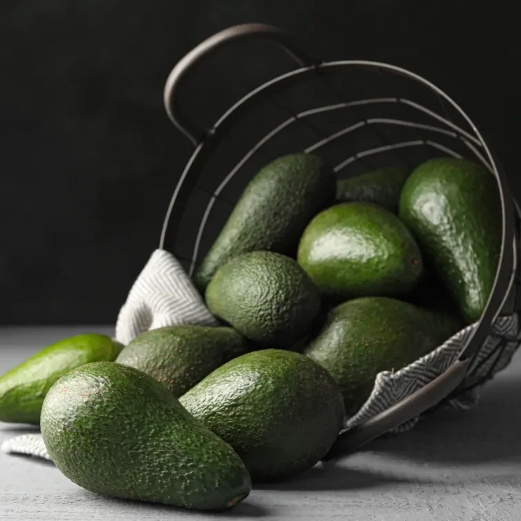 Avocado Oil