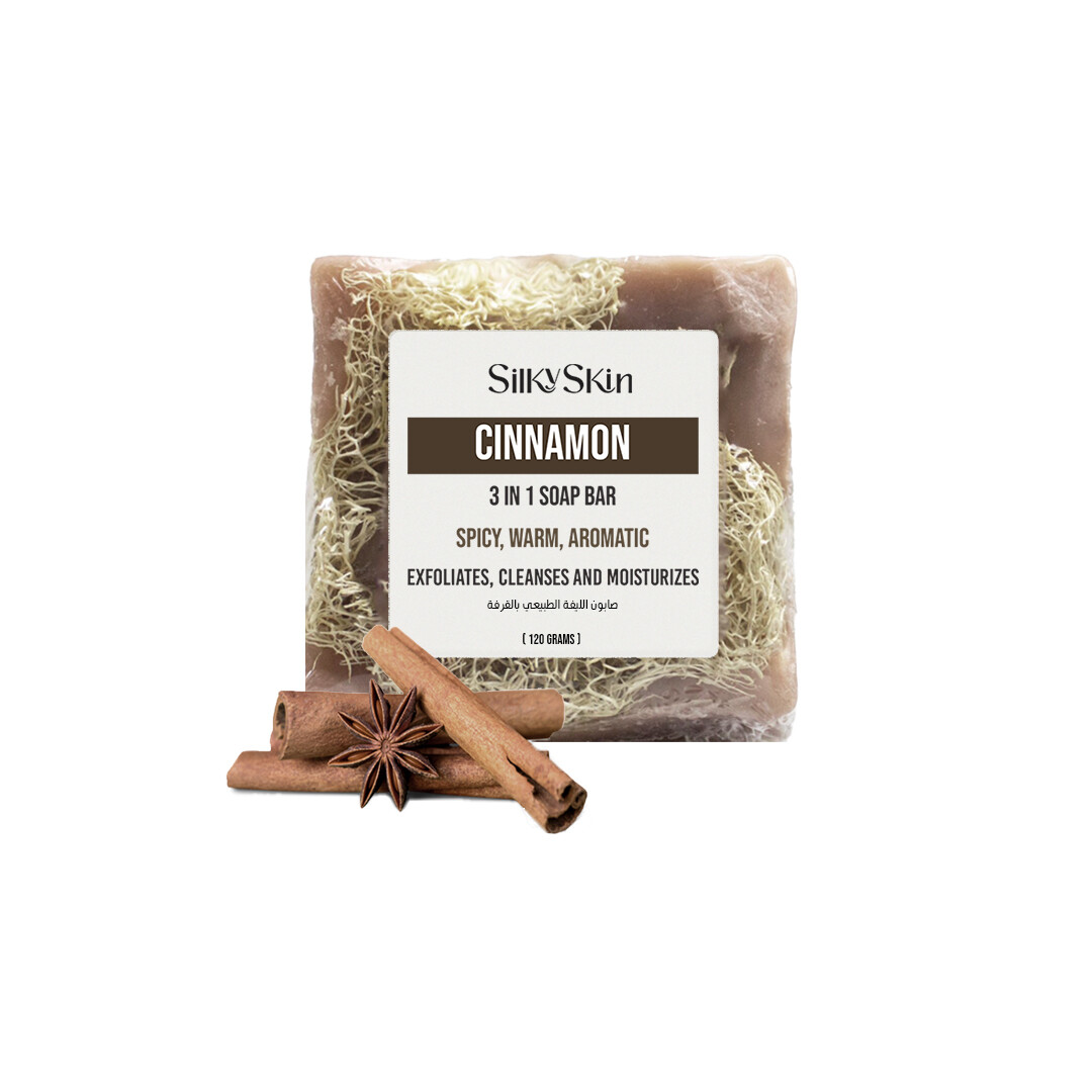 Cinnamon Loofah Soap