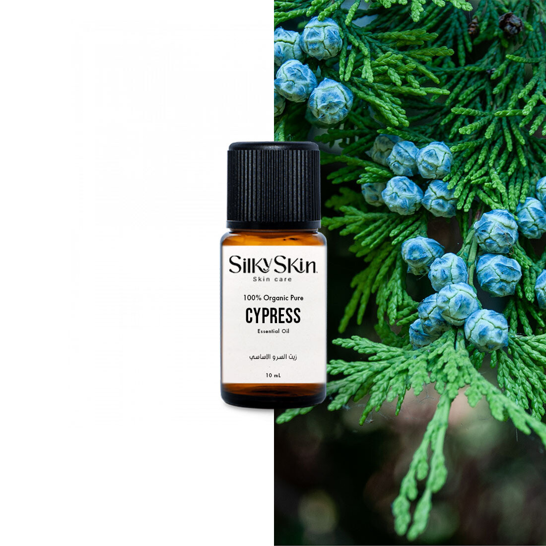 Organic Cypress Essential Oil