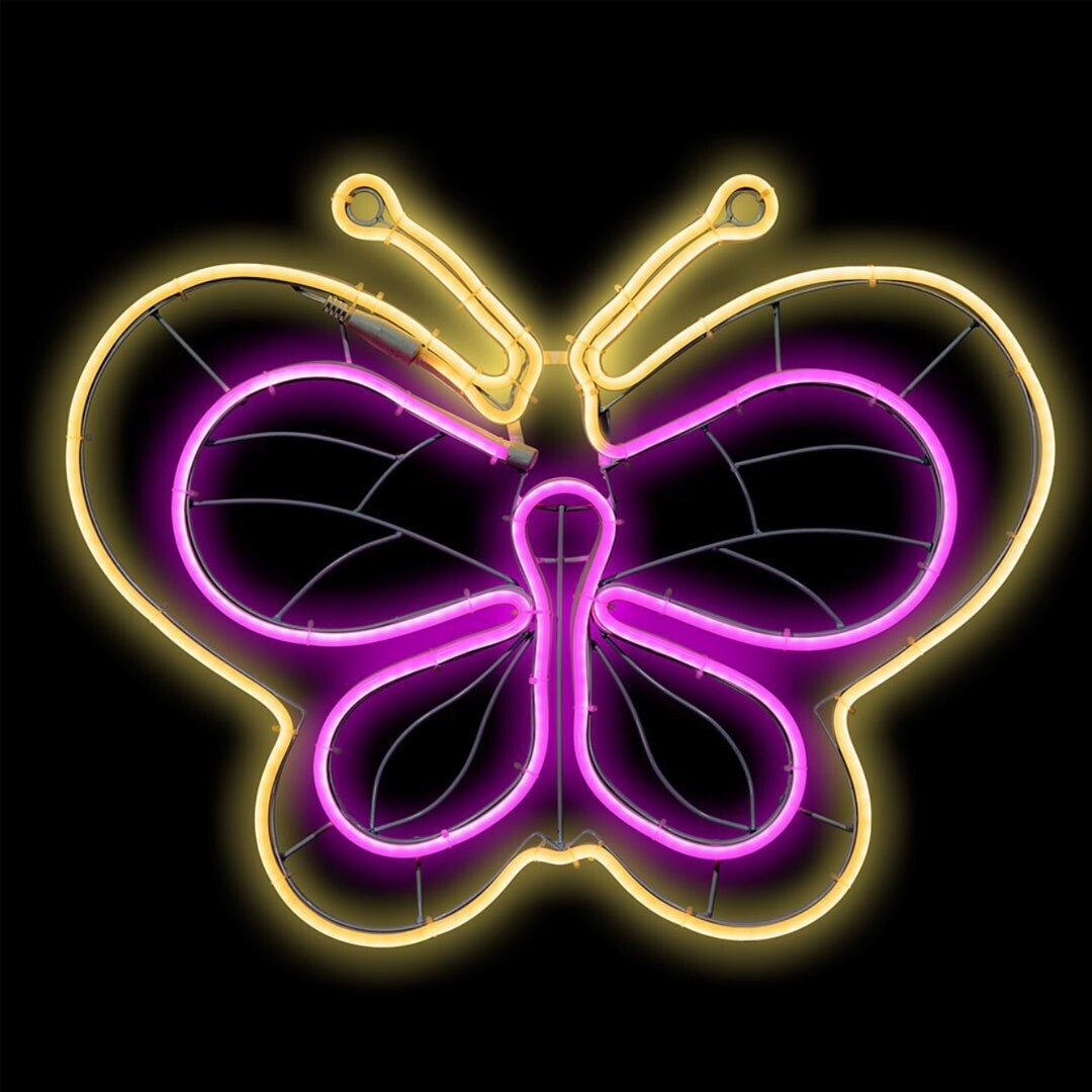 Papillon 57 cm
