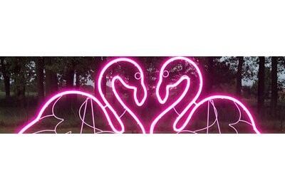 Vente de sujets lumineux