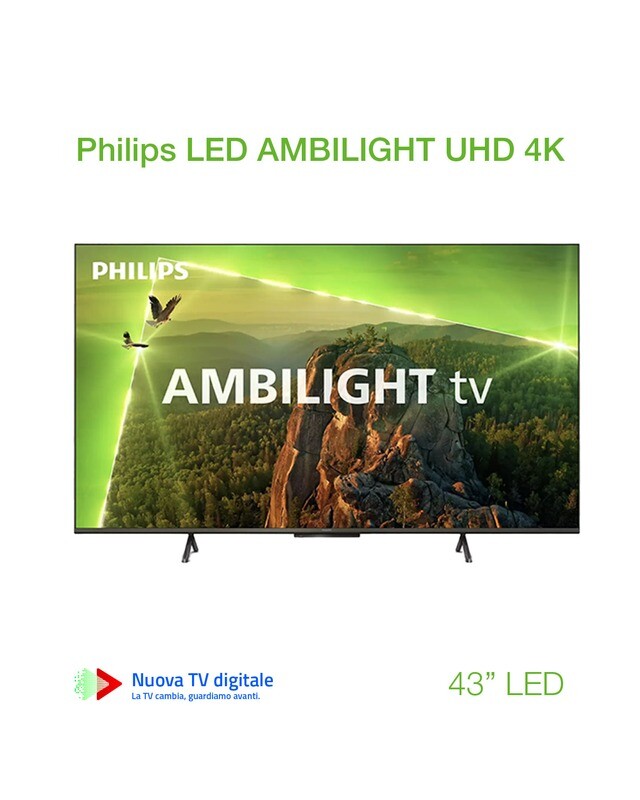 TV LED 43