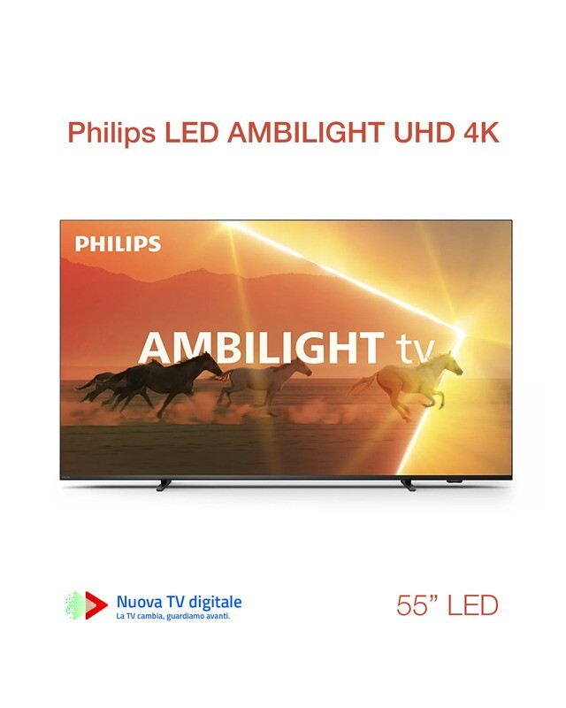 TV LED 55