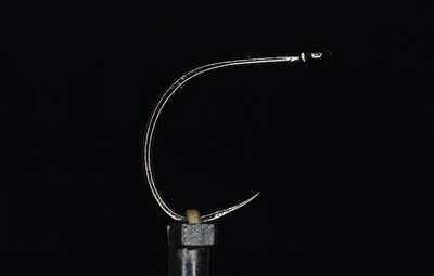 Short Shank Dry