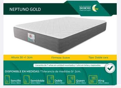 NEPTUNO GOLD