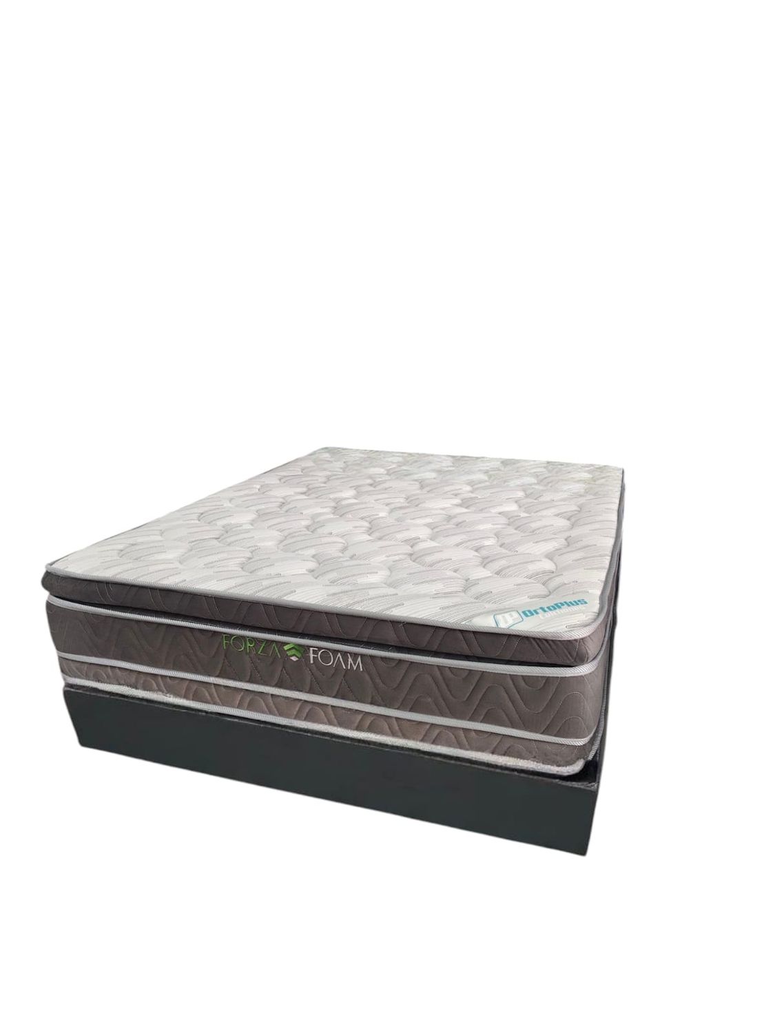 FORZA FOAM CON BASE