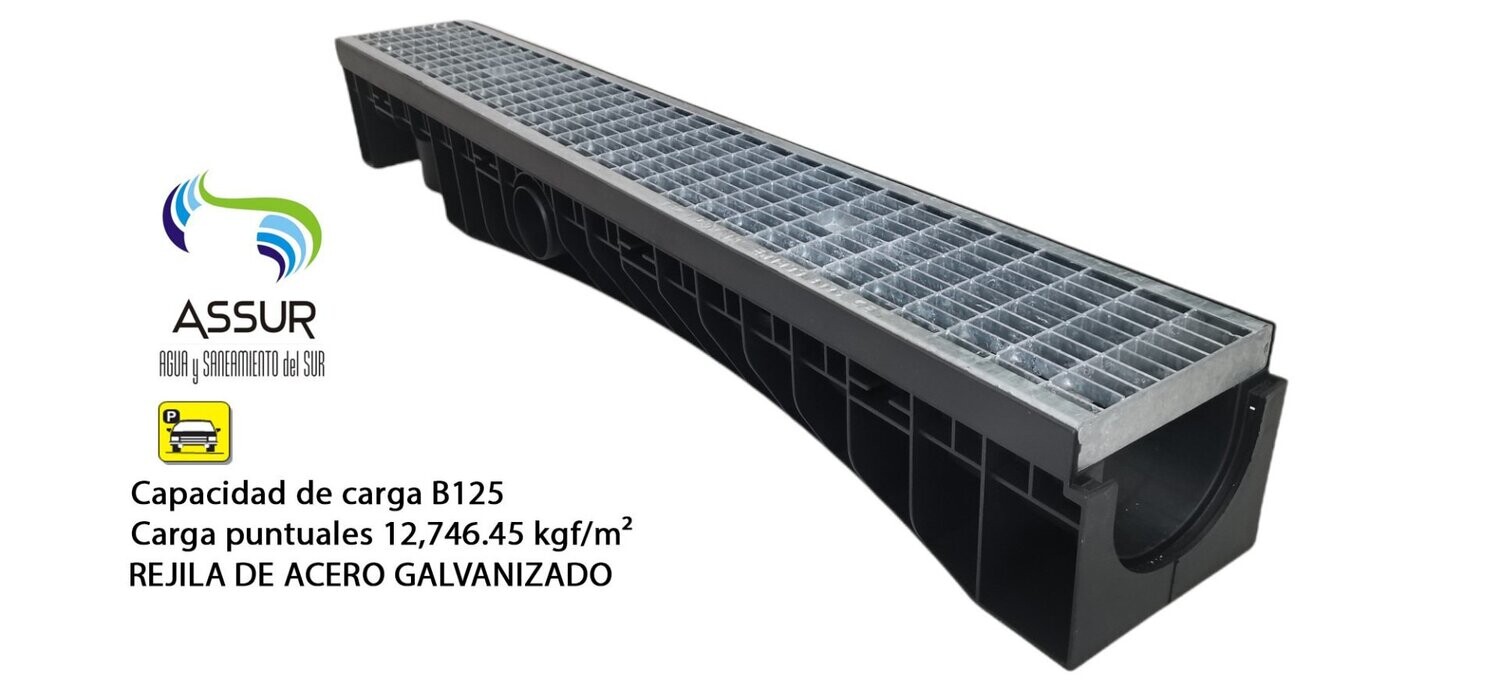 FICHA TECNICA EVO100S B125