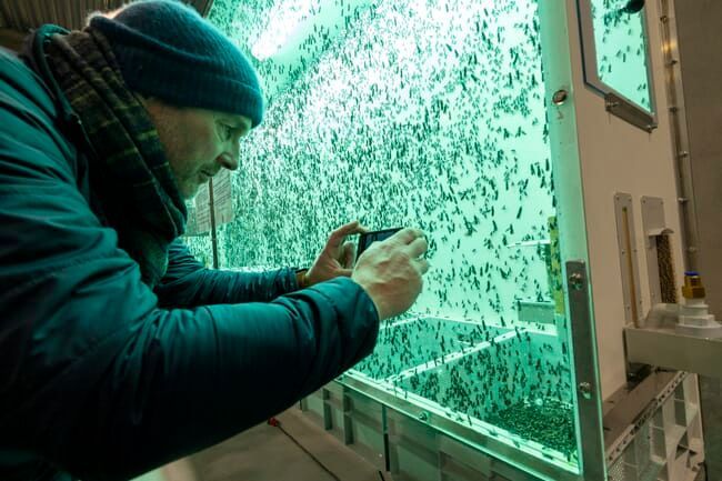 FICHA TÉCNICA | OVERVOXT® INSECTFARM-20. GRANJA DE INSECTOS EN CONTENEDOR MARÍTIMO (20’) – PRODUCCIÓN AUTOMATIZADA Y CONTROL CLIMÁTICO DE PRECISIÓN FICHA TÉCNICA | OVERVOXT® INSECTFARM-20. GRANJA DE INSECTOS EN CONTENEDOR MARÍTIMO (20’) – PRODUCCIÓN AUTOMATIZADA Y CONTROL CLIMÁTICO DE PRECISIÓN