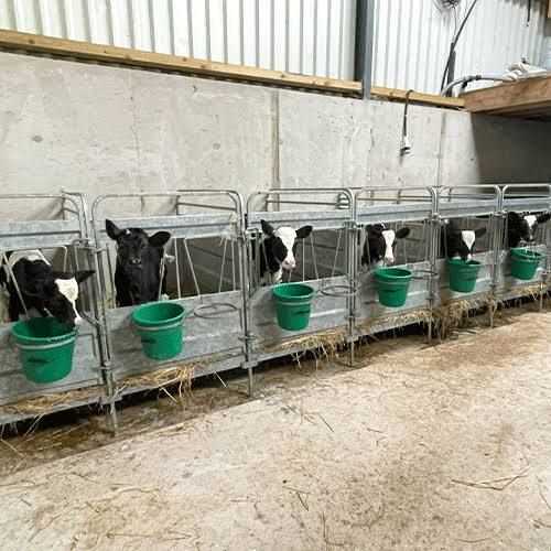 OVERVOXT CALFCARE MODULE MÓDULO CONTENERIZADO PARA TERNEROS (LACTANCIA Y TRANSICIÓN A SÓLIDO) 20 OVERVOXT CALFCARE MODULE MÓDULO CONTENERIZADO PARA TERNEROS (LACTANCIA Y TRANSICIÓN A SÓLIDO) 20"