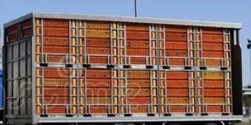​THE OVERVOXT AVITRANS™ POULTRY TRANSPORT CONTAINER. TRANSPORTE INTELIGENTE DE AVES ADULTAS – 20’