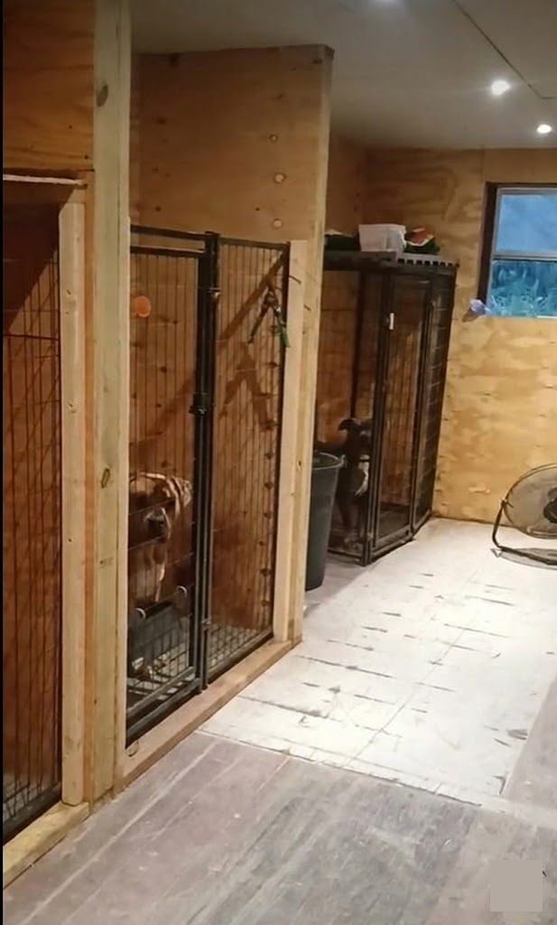 ​THE OVERVOXT CANISAFE™ MODULAR KENNEL SYSTEM. GUARDERÍAS, PERRERAS Y REFUGIOS CONTENERIZADOS – 20’