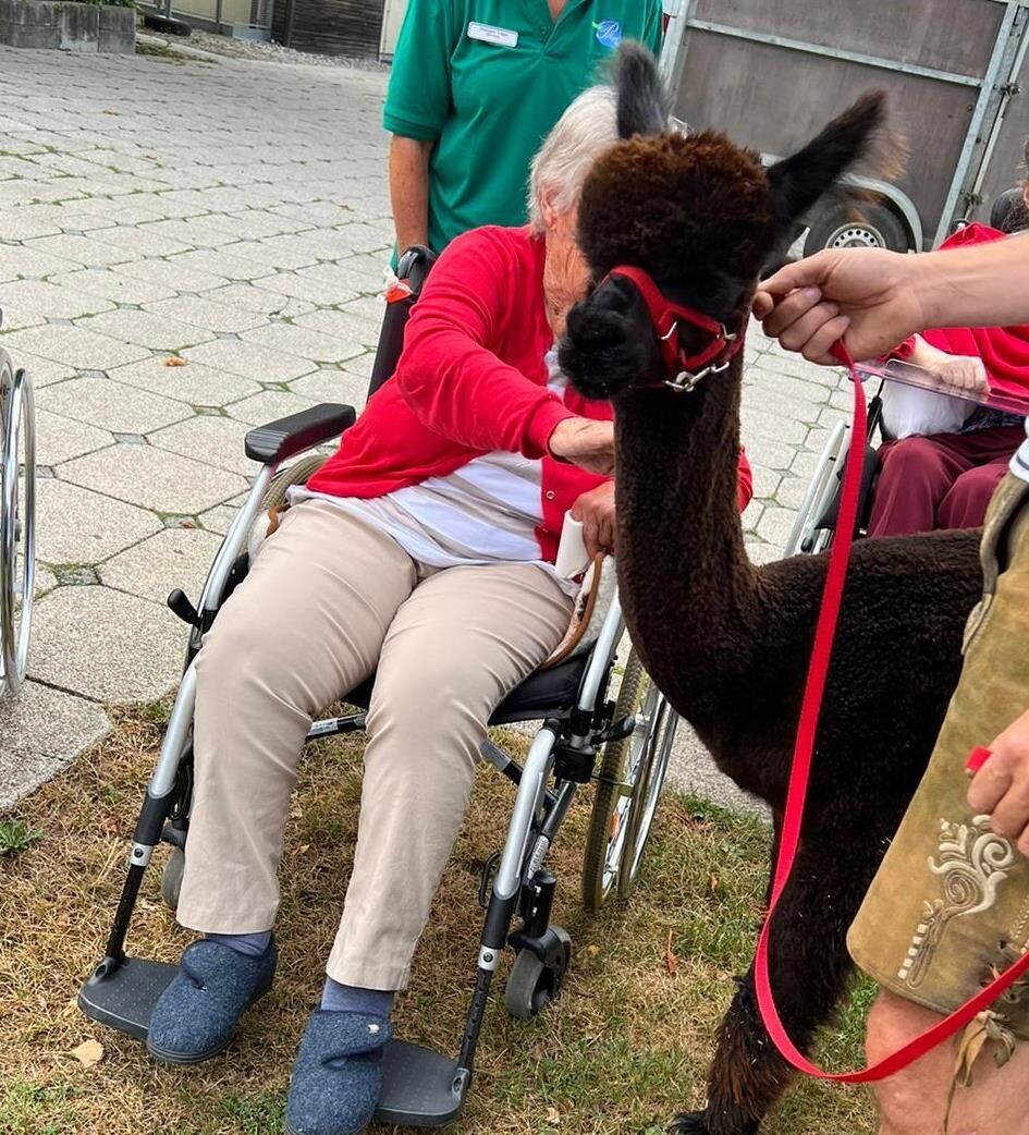 Alpaka Therapie