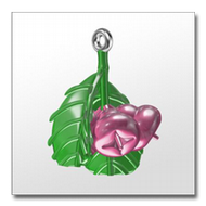 Fruits