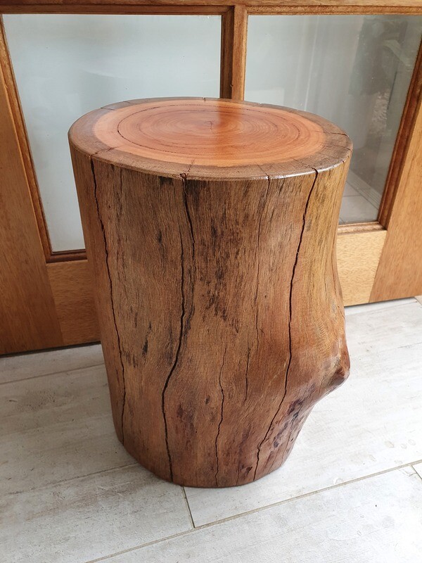 Timber Stump