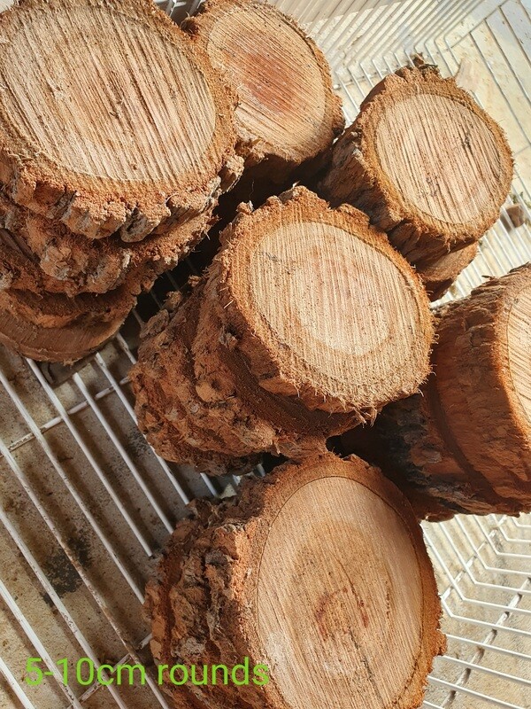 Hardwood Timber Rounds Seconds
