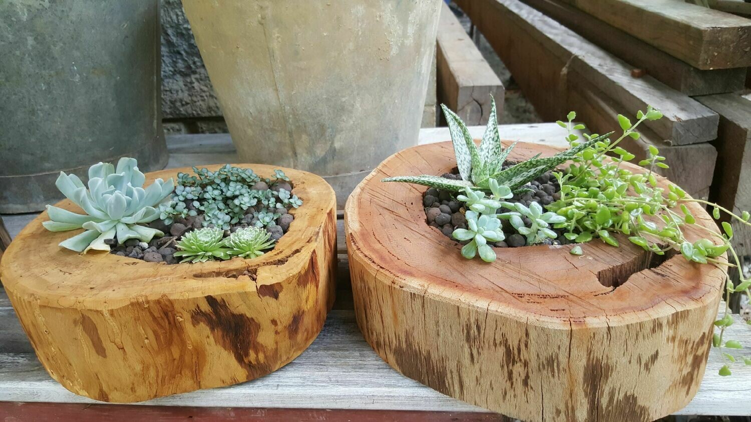 Timber Succulent Round with plants