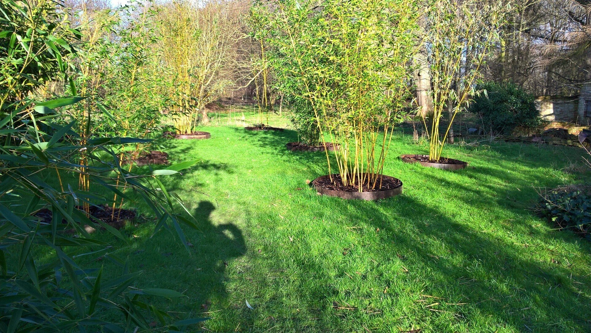 EverEdge Cor-Ten Garden / Tree Rings