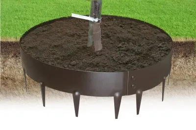 Garden / Tree Rings