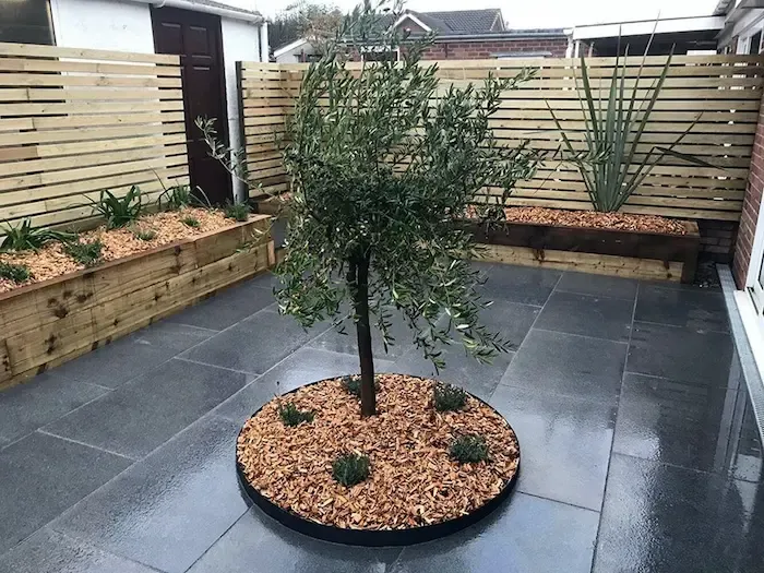 EverEdge Classic Garden / Tree Rings