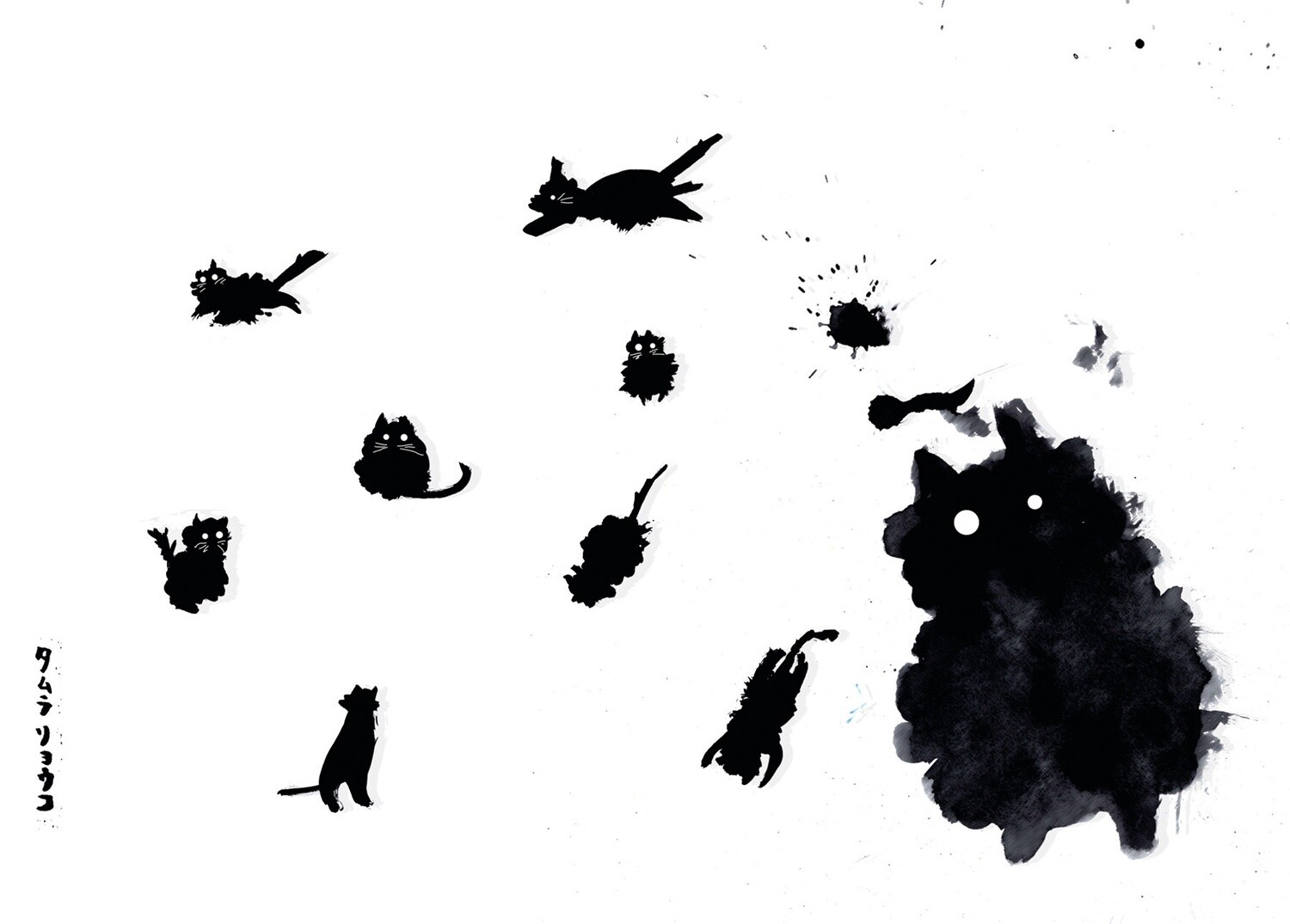 The Bad cat A5 The Bad cat A5