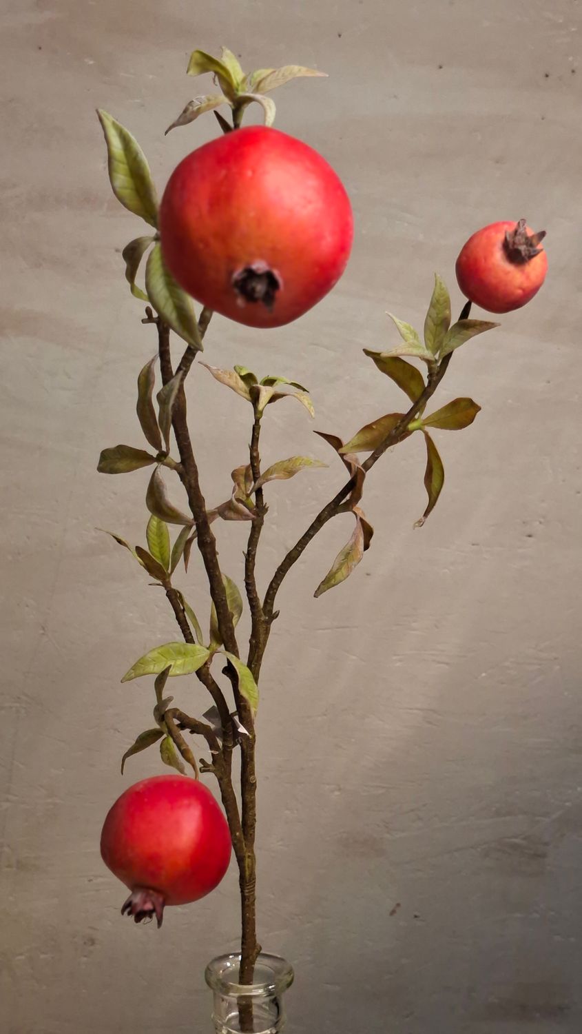 Granatapfel