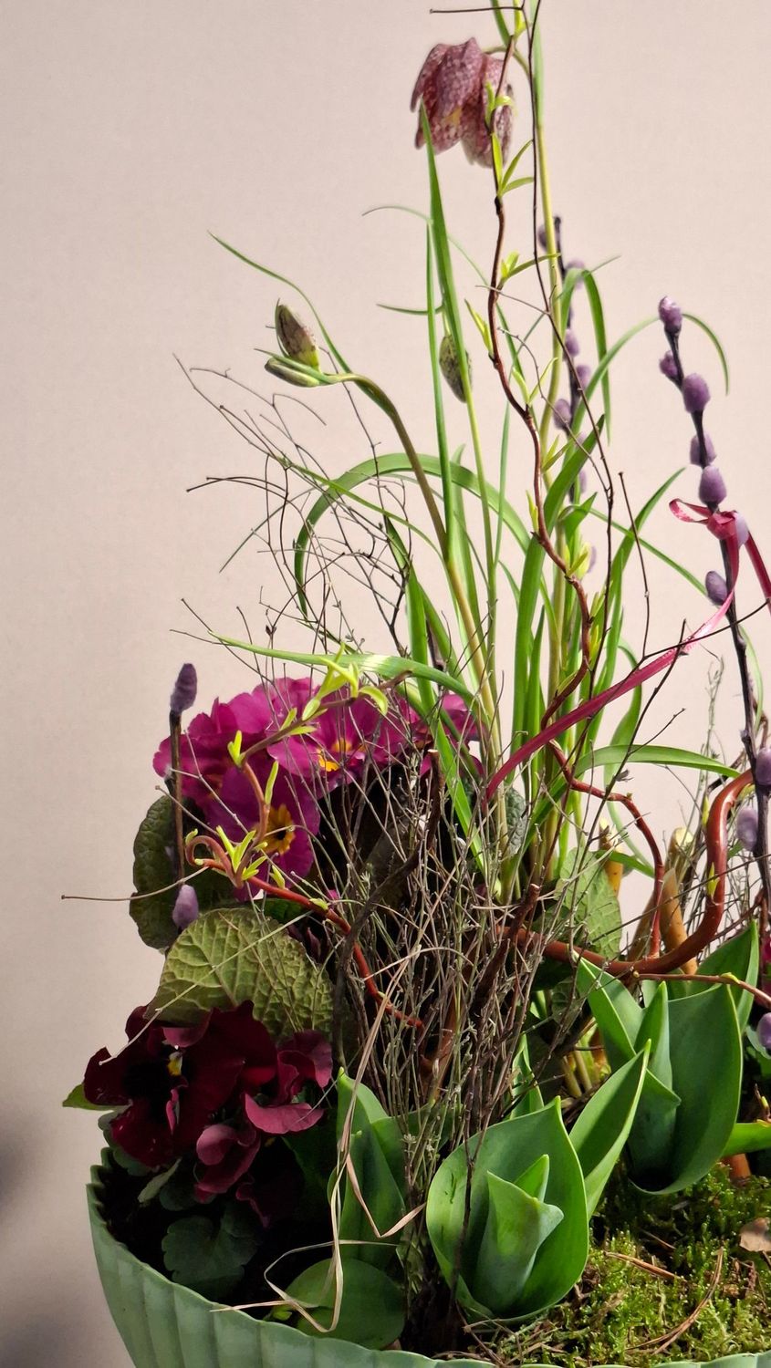 18.03.2026   17-19Uhr Frühlingshaftes