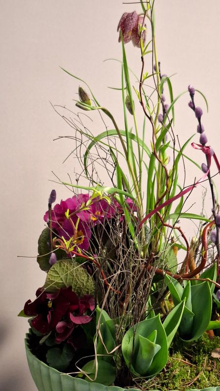 18.03.2026   17-19Uhr Frühlingshaftes