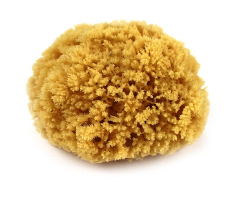 Yellow Form Sponge