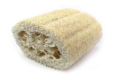 Loofa Pieces