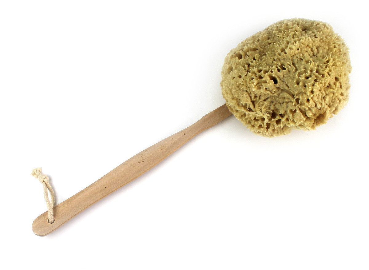 Wool Sponge on a Stick