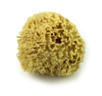 Wool Bathing Sponge