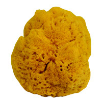 Yellow Bathing Sponge