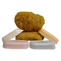 Four Goats Milk Bars and Yellow Sponge Four Goats Milk Bars and Yellow Sponge