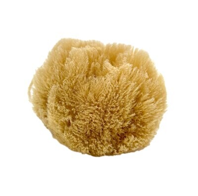 Grass Silk Sponge