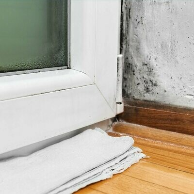 Mould & Condensation products